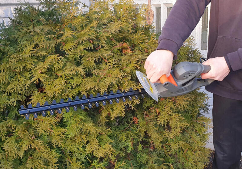 ELEKTRYCZNE NOŻYCE + SEKATOR TELESKOPOWY ZESTAW