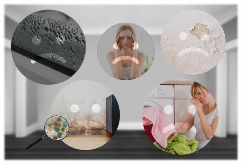 OSUSZACZ POWIETRZA POCHŁANIACZ WILGOCI DOMOWY WYDAJNY CICHY 0,8L