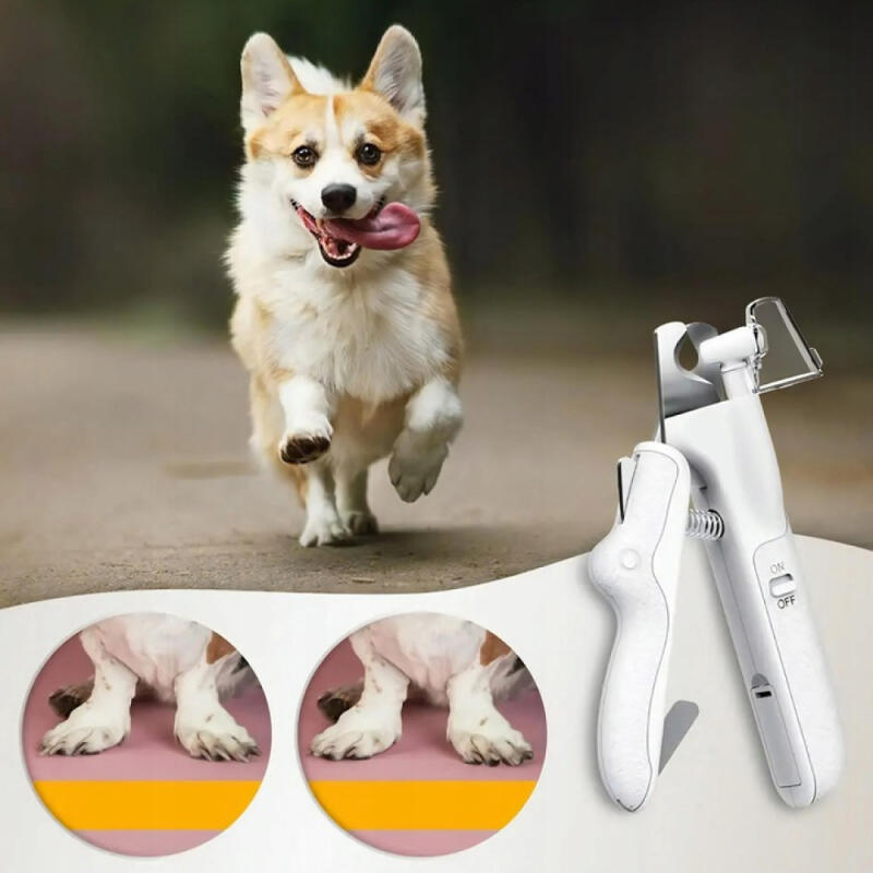 Obcinacz Do Pazurów Psa Kota Cążki Cęgi + Pilnik z Podświetleniem Led Mocne