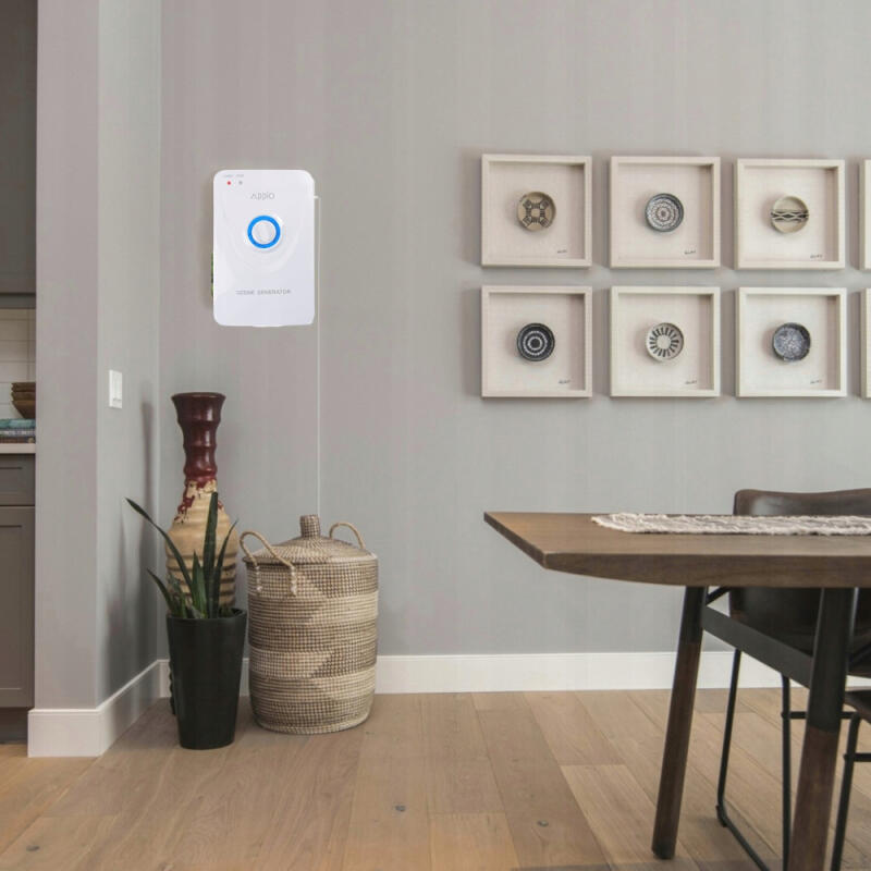 OZONATOR POWIETRZA GENERATOR OZONU ŻYWNOŚCI WARZYW OWOCÓW SAMOCHODU DOMOWY