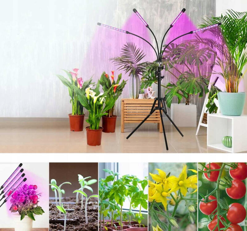 LAMPA DO UPRAWY ROŚLIN LED x4 80 LED GROW LIGHT WZROSTU STOJĄCA TIMER PILOT