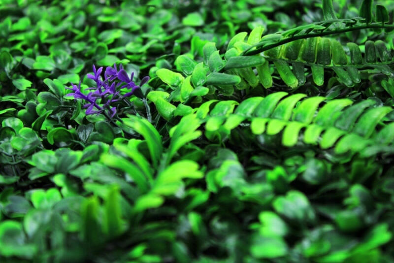 SZTUCZNY ŻYWOPŁOT ZIELONA ŚCIANA PANEL ROŚLINNY OSŁONA BALKON OGRÓD POKÓJ