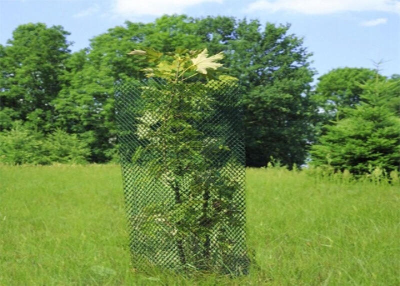 Siatka Ogrodzeniowa Plastikowa PCV 0,4x50m Zielona Rabatowa Ogrodowa 40cm