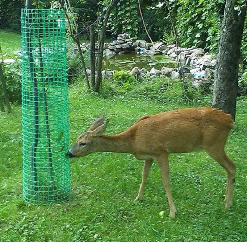 Siatka Ogrodzeniowa Plastikowa PCV 0,5x5m Czarna Rabatowa Ogrodowa 50cm