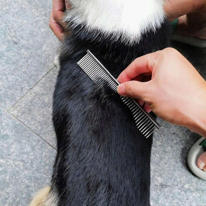 Nożyczki Do Strzyżenia Psów Zestaw Zakrzywione Grzebień Profesjonalne Etui