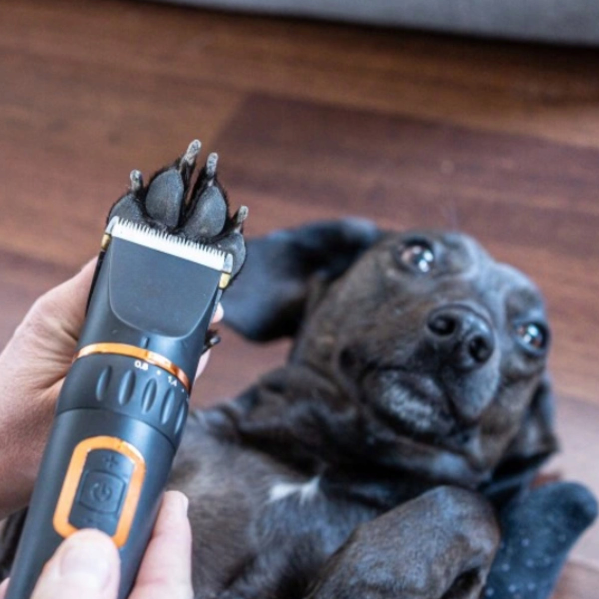 MASZYNKA DO STRZYŻENIA PSÓW PSA KOTA KONIA CICHA BEZPRZEWODOWA BARDZO MOCNA